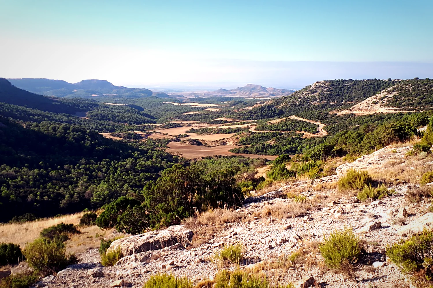 La Bardena Negra, la cara sur del parque cubierta de pinos carrascos y matorral verde