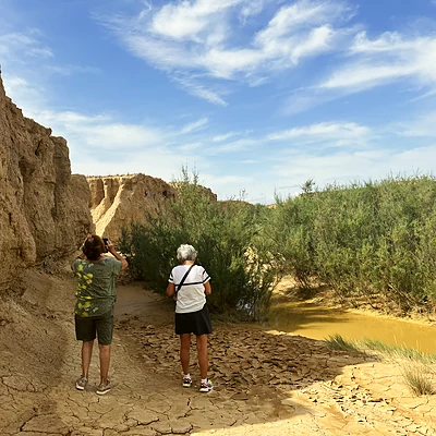 Barranco en las Bardenas Reales
